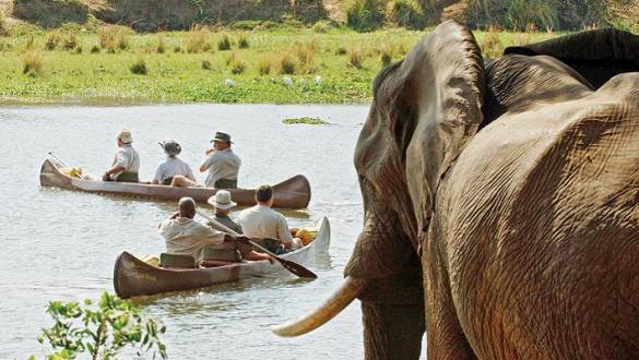Meander through Africa