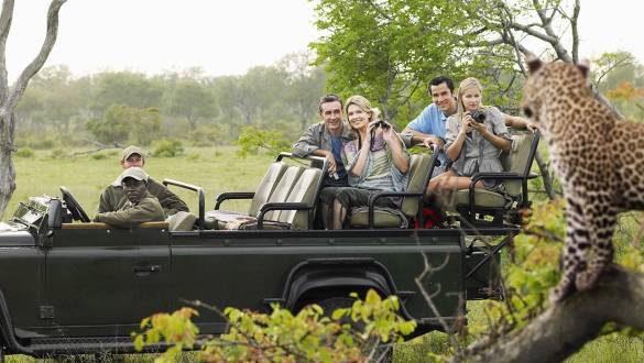 Die besten Südafrika Safaris: Sabi Sands Reserve im Krüger Nationalpark