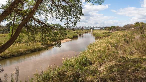 Sabi Sands River