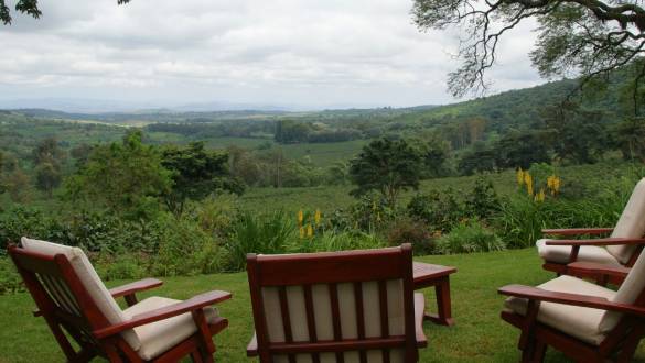 Valley views at Gibb's Farm, Lake Manyara & Ngorongoro Crater, Tanzania