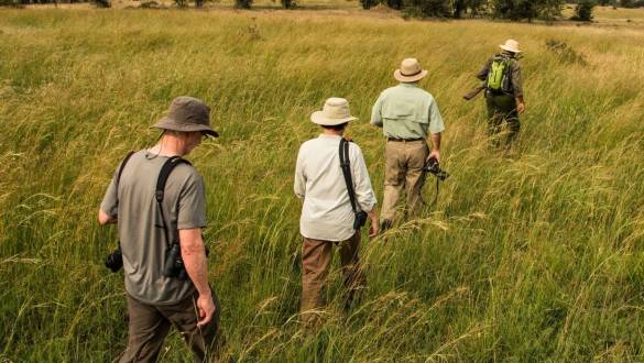 Walking safaris at Sayari Camp in the Serengeti, Tanzania