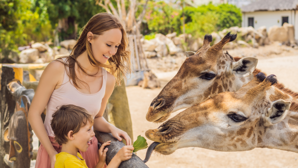 Reisen mit Kindern: erprobte Tipps unserer Reiseprofis