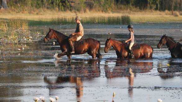 Horse Ride