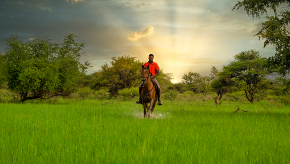 5 Gründe, warum Sie Botswana in der Green Season besuchen sollten