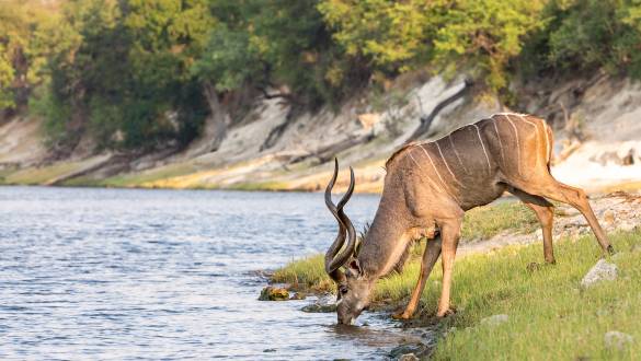 5 Gründe, warum Sie Botswana in der Green Season besuchen sollten