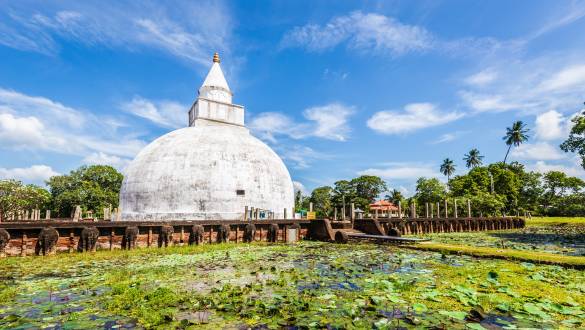 Unser Team: Chaminda Dammika, Reiseleiter in Sri Lanka