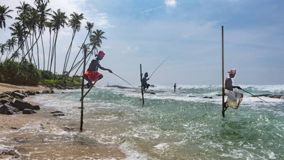 Meet Chaminda Dammika, Our Expert Sri Lankan Guide