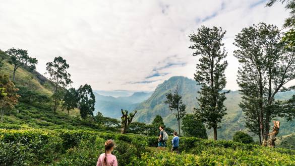 Meet Chaminda Dammika, Our Expert Sri Lankan Guide