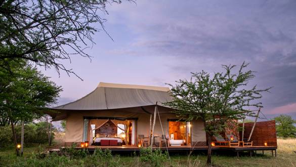 Die Top 5 Reservate und Safariparks in Afrika