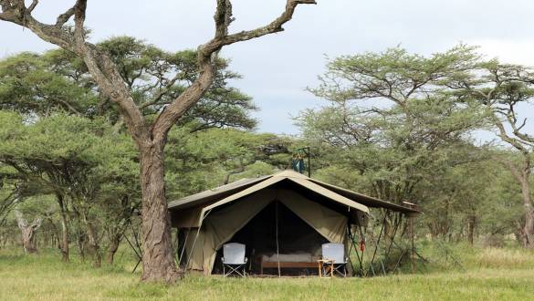 Exterior view of guest tent at Serengeti North Wilderness Camp in Northern Serengeti, Tanzania