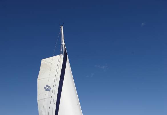Leopard 44 Model Guide