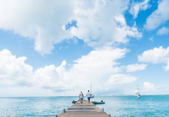 Discover the Wild Side of St. Martin