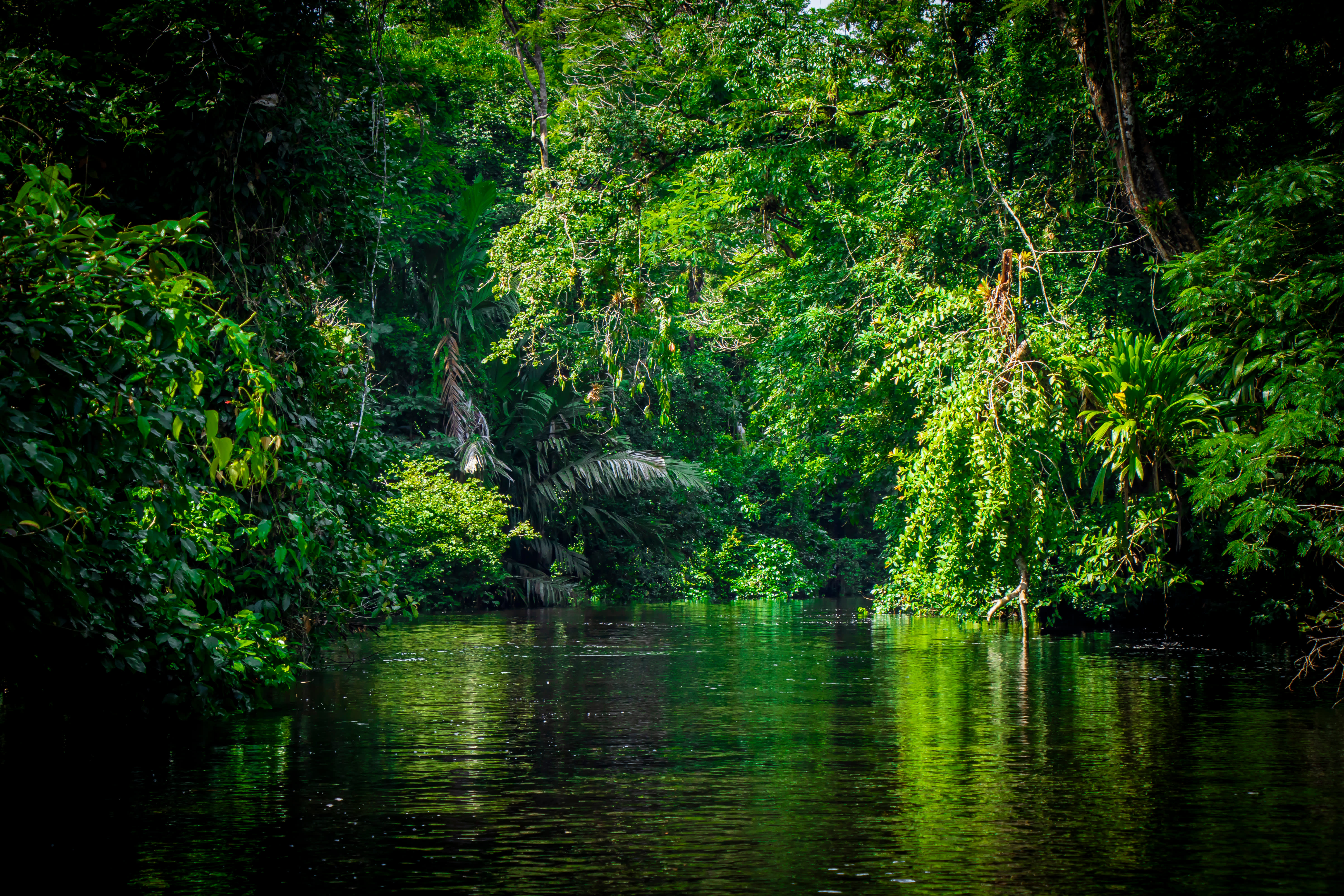 Tortuguero: Costa Rica’s Caribbean Gem 