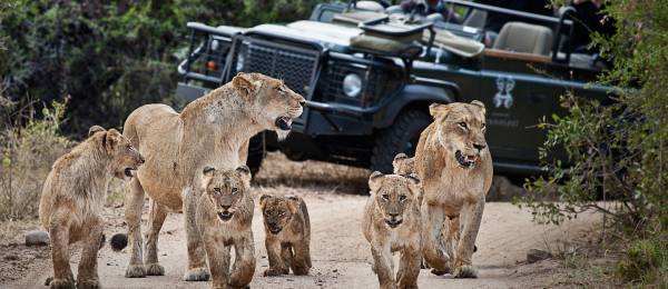 Enchanting-Travels-Africa-South-Africa-Kruger-South-Londolozi-Founders-Camp-5