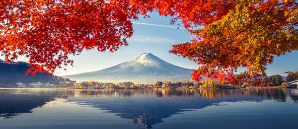 Enchanting Travels Japan Tours Colorful Autumn Season and Mountain Fuji with morning fog and red leaves at lake Kawaguchiko is one of the best places in Japan