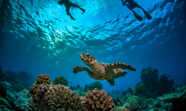 Seychelles Tours