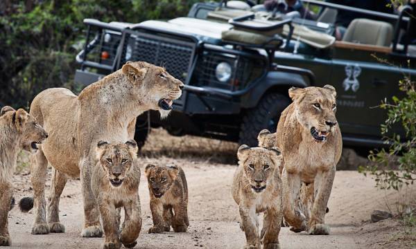 Enchanting-Travels-Africa-South-Africa-Kruger-South-Londolozi-Founders-Camp-5