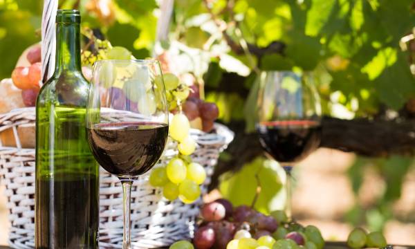 Enchanting Travels Spain Tours Wine