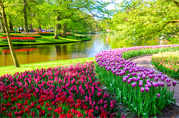 Keukenhof Gardens in Spring