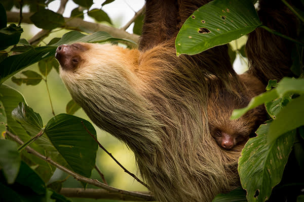 Exodus Photo Master Competition 2019: Our year in photos