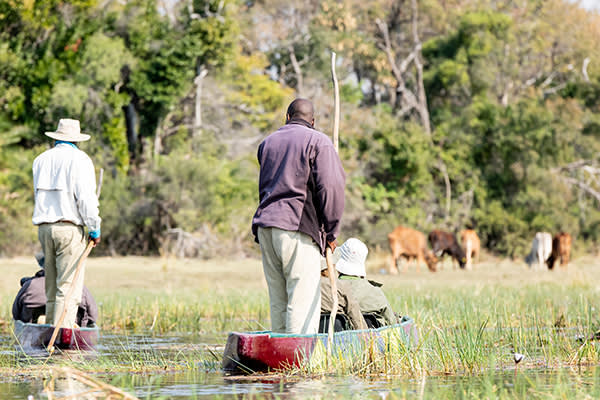 Okavango Delta dug out canoe