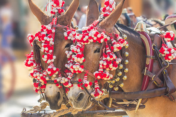 5 Quintessentially Spanish things to see and do in Andalucía