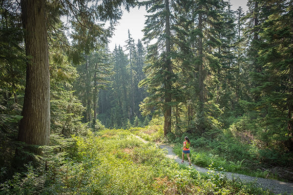 Your Guide to a Different Kind of parkrun