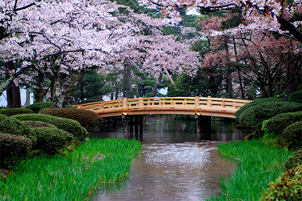 Kenrokuen gardens in Kanazawa, Japan