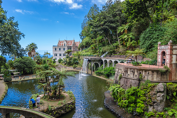 madeira