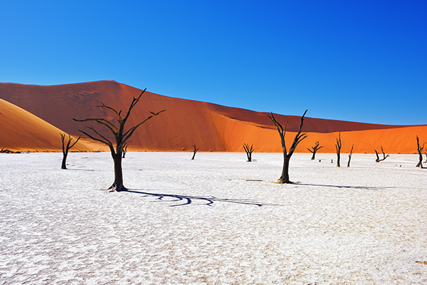 Namibia & Botswana Dunes Delta