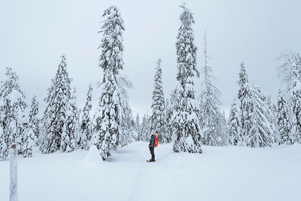 Snowshoeing in Ouklana National Park