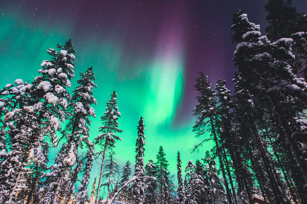 Northern Lights