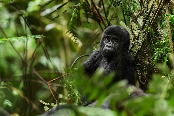 Responsible Travel Tips