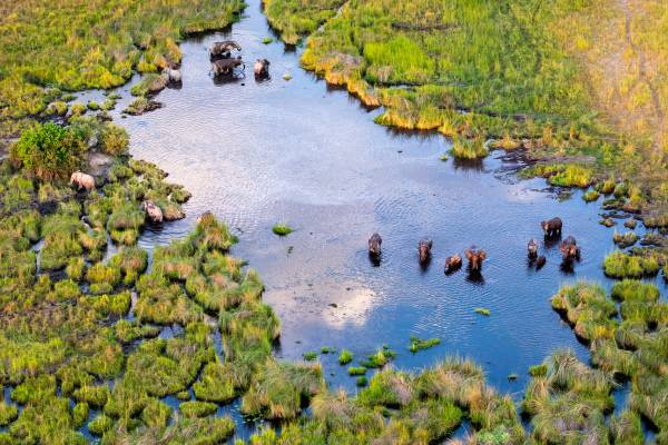 Wildlife Holidays