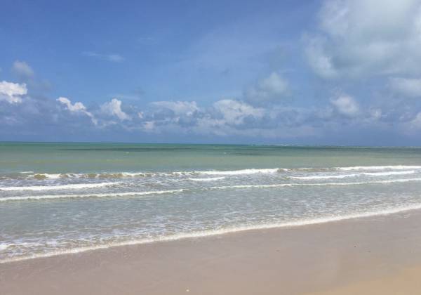 a sandy beach next to the ocean