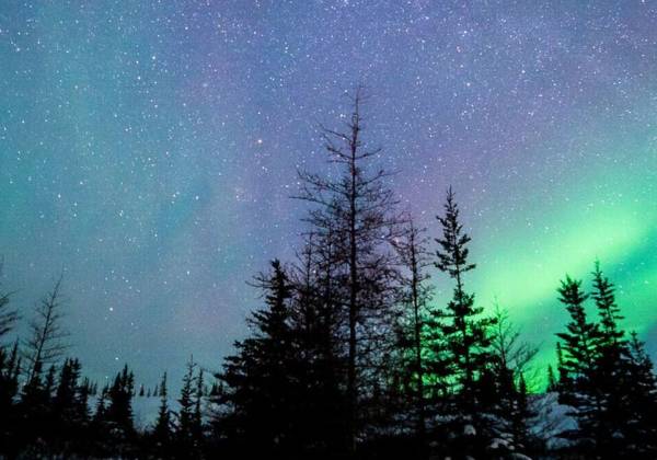 Northern Lights, Churchill, Manitoba