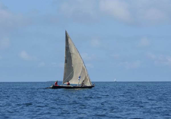 Tanzania and Pemba Island Multi Centre