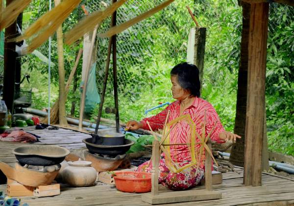 Silk Weaver