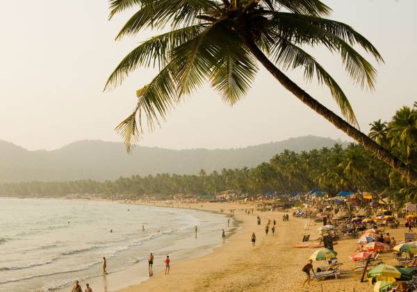 a group of people on a beach with a palm tree