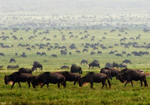 Luxury Kenya Holiday