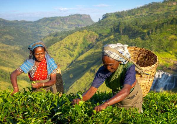 Sri Lanka and the Maldives: Culture and Relaxation