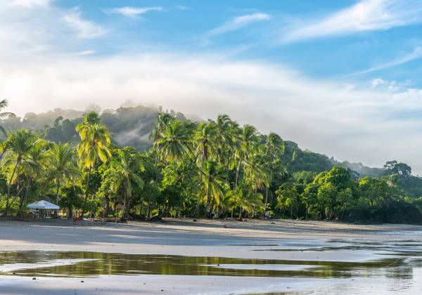 Costa Rica Beach And Jungle Tour