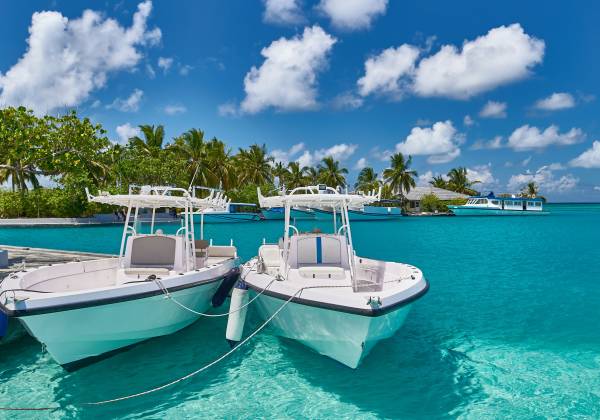 Sri Lanka and the Maldives: Culture and Relaxation