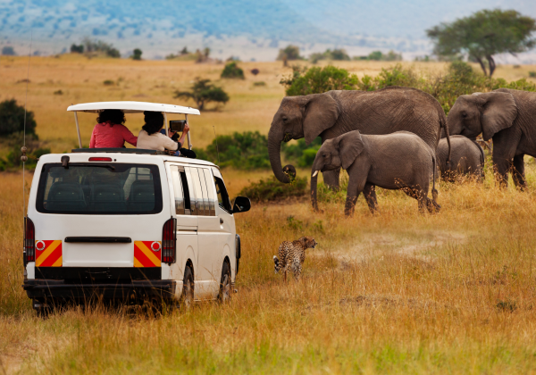 Overland Safari – Discover Kenya