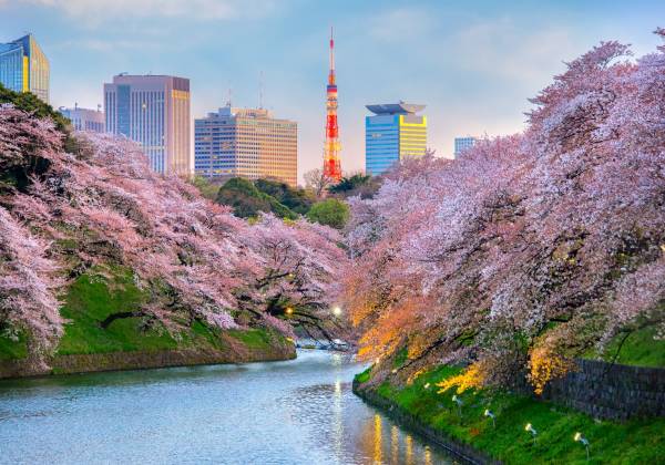 Tokyo To Kyoto Bullet Train Tour