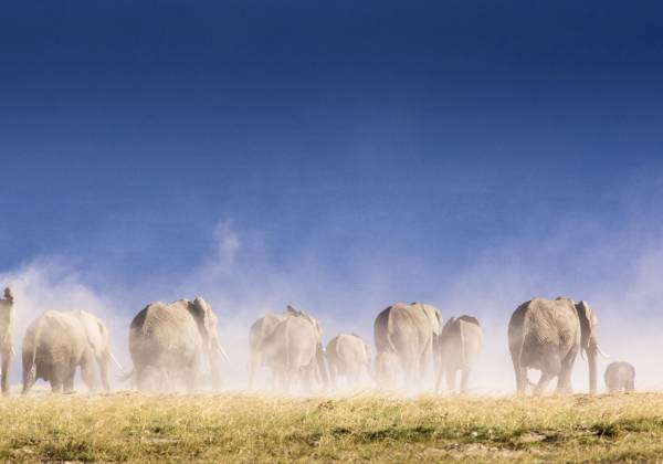 Overland Safari – Discover Kenya