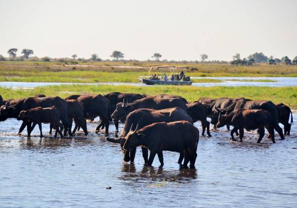 East Africa Safari Tour