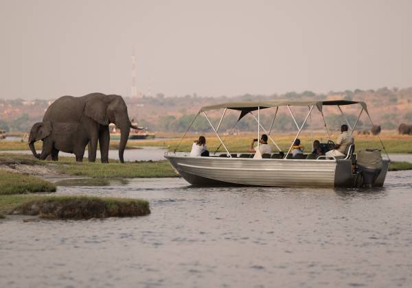 Victoria Falls, Botswana Safari and Mauritius