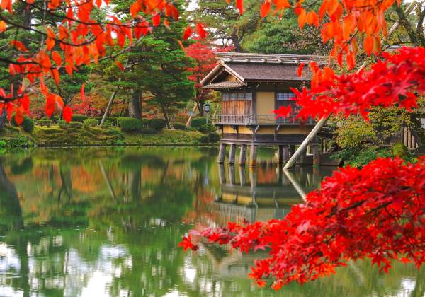 Japan’s Samurai History, Culture and Cuisine