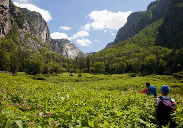 a group of people in a field with a mountain in the background